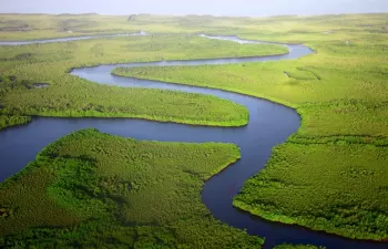 ¿Sabías que los ríos albergan el 0,0002% del agua dulce de todo el planeta?