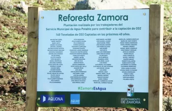 Fundación Aquae compensa el 100% del CO2 emitido en los últimos cuatro años a través de 'Sembrando O2'