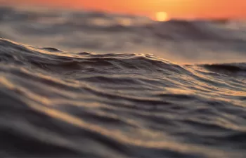 La desalación española, ejemplo mundial