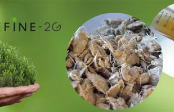 Proyecto BIOREFINE 2G, obtención de bioplástico a partir de los residuos forestales utilizados en las biorefinerías