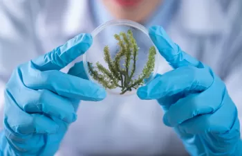 Luz verde al programa de innovación Horizonte Europa