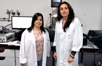 Avances en la resistencia de biocompuestos derivados del trigo como alternativa a los plásticos