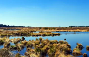 Aragón aporta su experiencia a la gestión sostenible de los humedales