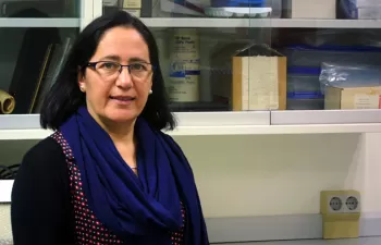 Inmaculada Romero, nueva directora de la Cátedra 'Planeta y Desarrollo Sostenible'