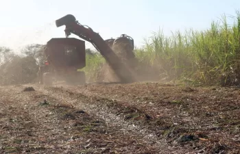 Cómo gestionar la paja de la caña azúcar para mejorar la generación de bioenergía