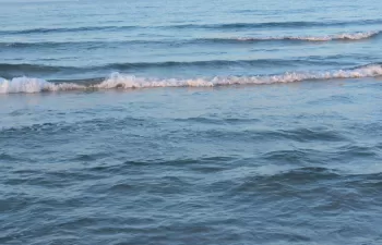 Autorizada la concesión directa de subvenciones a Canarias para infraestructuras hidráulicas