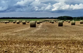 Ocho proyectos navarros, en la fase final del programa europeo Interreg Sudoe