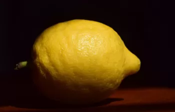 Nuevos bioplásticos a partir de CO2 y limoneno, una sustancia presente en cáscaras de cítricos