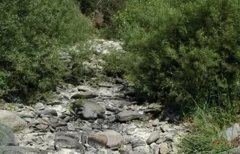 La ACA participa en un proyecto europeo que analiza la gestión de ríos temporales