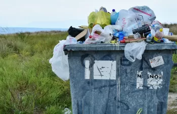 5 ciudades del mundo obsesionadas con la basura: así luchan contra la contaminación