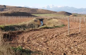 Un estudio alerta del impacto ecológico causado por la acumulación de sedimentos en los cursos fluviales