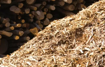 Avanzan los trámites de la nueva planta de biomasa de Forestalia en Cubillos del Sil