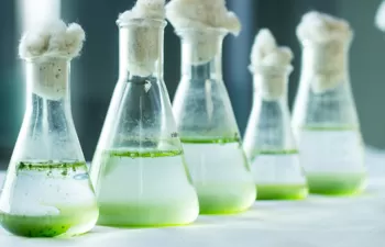 "La calidad de los sedimentos del litoral valenciano es buena en relación a los niveles concentración de metales"