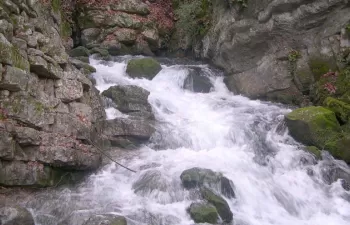 Cataluña impulsa el estudio de la relación entre las aguas superficiales y las subterráneas