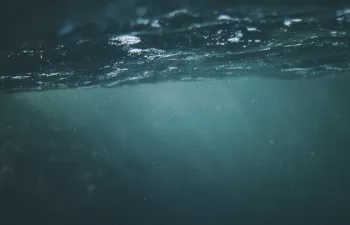 El grado de acidez del agua influye en la temperatura a la que varía su estructura