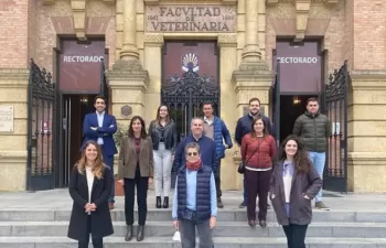 Fabrican nanocelulosa a partir de residuos agrícolas para reducir el uso de plásticos