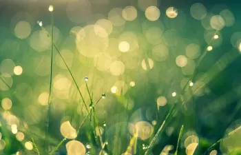 El GECV intervino en el Congreso de los Diputados reclamando una recuperación sostenible