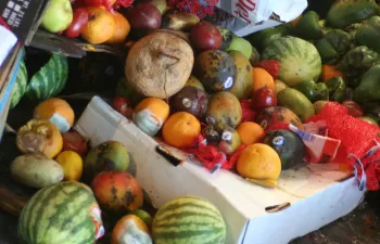 FAO y la Ciudad de México unen fuerzas contra el desperdicio de alimentos