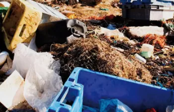 El Parlamento Europeo exige prohibir los plásticos más peligrosos e introducir objetivos obligatorios de reciclaje de plástico