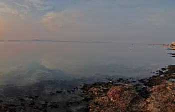 El IIAMA evalúa qué medidas son más efectivas para mejorar el estado ecológico del Mar Menor