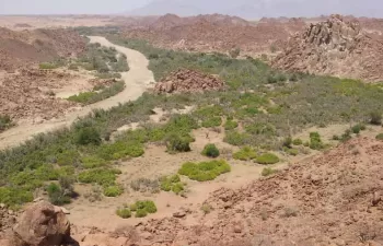 Cuantifican por primera vez las emisiones de CO2 a la atmósfera de los ríos intermitentes