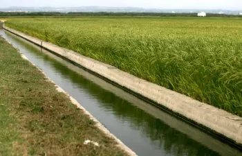 Fenacore apoya el uso de aguas regeneradas y desaladas para garantizar la alimentación en el futuro