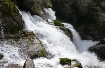 El MAPAMA desmiente que el Plan de Gestión del Distrito de Cuenca Fluvial de Cataluña incluya trasvase alguno