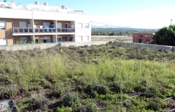 Cubiertas vegetadas, una buena medida de adaptación al cambio climático en el Mediterráneo