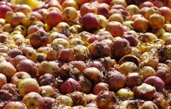 El desperdicio alimentario se reduce un 5,7%