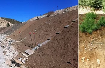 Comprueban la eficacia del uso de posidonia oceánica para el sellado de vertederos