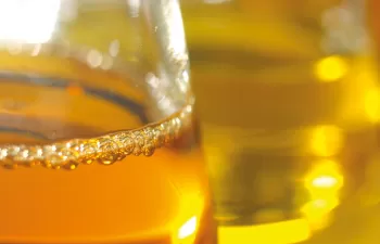 Avances en el reemplazo del petróleo con bioetanol