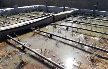 La UB inaugura una planta piloto de tratamiento ecológico de aguas residuales en Senegal