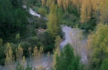 Arranca el trámite de información pública del Real Decreto de declaración de sequía en la cuenca del Tajo