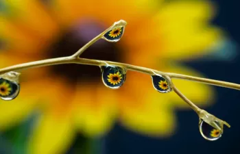 PhotoAquae 2018: imágenes que nos recuerdan la importancia del agua