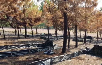 El LIFE REFOREST comienza la validación de sus pilotos en zonas afectadas por incendios