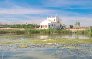 El Tancat de la Pipa: una década de compromiso con la recuperación de l'Albufera