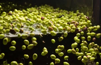 Agua: una prioridad humana y empresarial