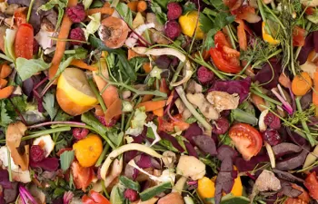 La Xunta ha distribuido más de 17.000 compostadores domésticos para fomentar el reciclaje