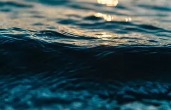 Abierta la convocatoria para la presentación de ideas o proyectos en el I Foro de Inversión DESAL+ Startups