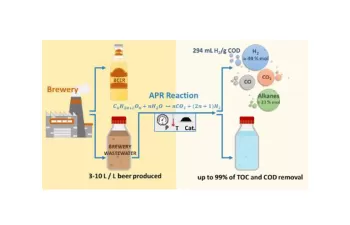 Desarrollan una novedosa técnica para el tratamiento de aguas residuales derivadas de biomasa