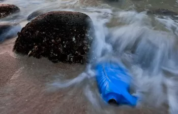 Investigadores de la UNED demuestran la toxicidad del plastificante más utilizado del mundo, el DEHP