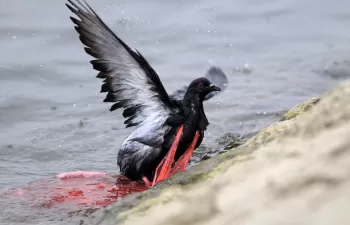 América Latina y el Caribe, líder en la lucha contra las bolsas plásticas