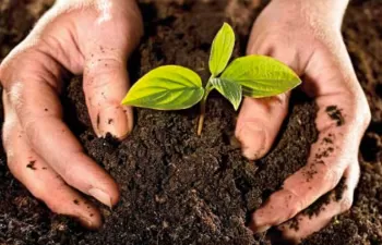 Generalitat y Consorcio de Residuos C1 impulsan un proyecto piloto de compostaje doméstico