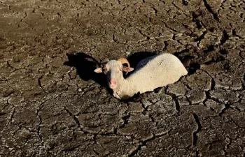 Una tesis de la Cátedra Aquae propone un seguro de sequía que indemnice basándose en indicadores de sequía