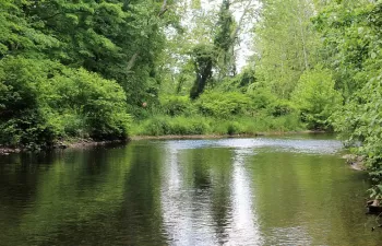 La Comisión Europea revisa la aplicación de la política medioambiental de la UE