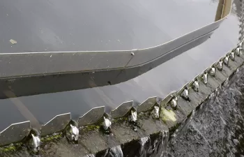 DRACE y VIAS se adjudican la construcción de la nueva depuradora de Silvouta en Santiago de Compostela