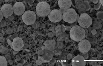 Un equipo de científicos españoles desvela la influencia del CO2 en el clima
