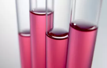 Consulta pública sobre la evaluación REFIT del Reglamento REACH