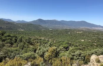 ¿Cómo se mide la sostenibilidad de los ecosistemas?