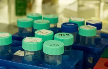 El IIAMA publica su Memoria de Actividades de 2016